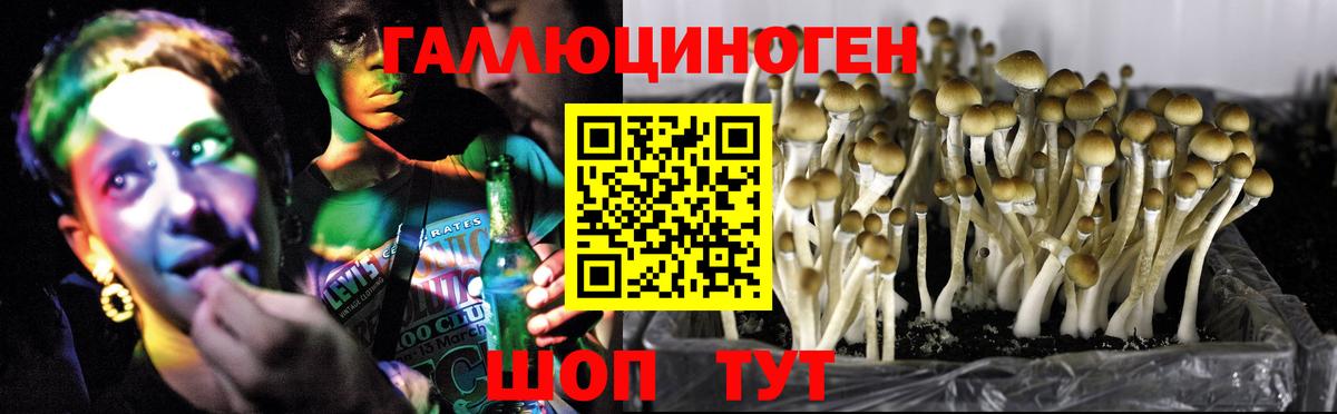 Галлюциногенные грибы GOLDEN TEACHER  Вход с VPN  как найти наркотики  Ижевск 